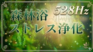 【森林浴528Hzヒーリング】ストレスを浄化する自然音で深いリラックス/Deep Forest Relaxation