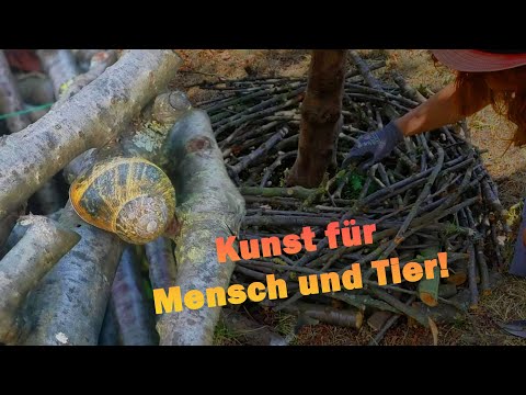 Mache mit! Totholz als Lebensraum für Tiere