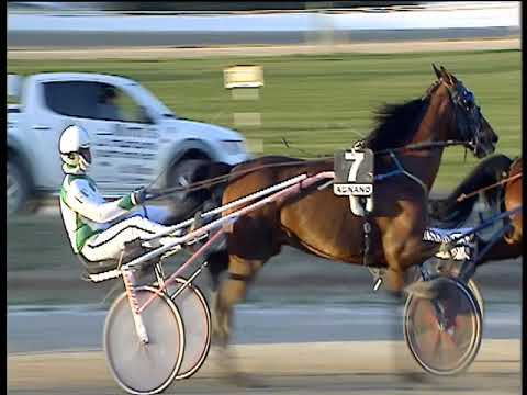 Trotto 24/02/2019 - 5ª corsa