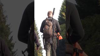 Rotwilddrückjagd 🌿 Sauen und mehrer Rudel Rotwild. #hunting #jagd #rotwild