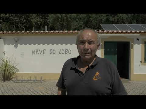 Boas práticas no Distrito de Portalegre