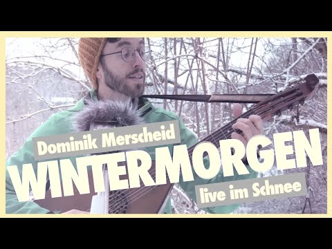 Wintermorgen (live im Schnee)