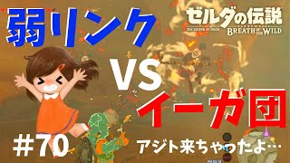 イーガ団アジトへ行く！最弱リンクはじめてのイーガ団戦闘【ゼルダの伝説ブレスオブザワイルド女性実況】～今日もゼルダを救えない#70