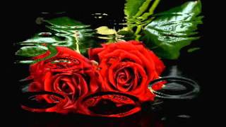 NAZARETH  &quot;Nightingale&quot;