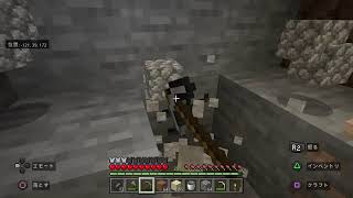 【マイクラ】まったりプレイ