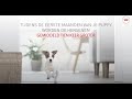 Royal Canin SHN Puppy Mini