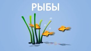 Чем морские рыбы отличаются от речных