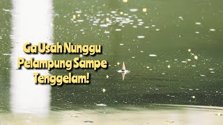 Download lagu Pelampung Ngetrik Tipis Langsung Tarik Dijamin Dapet Terus, Mancing Ikan Nila Umpan Jitu mp3