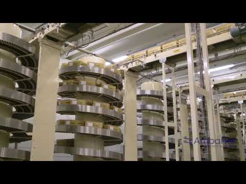 AmbaFlex AccuVeyor AVc - Cartons