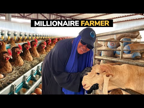 This Nigerian Woman Transformed a Farm to a Multi Million Dollar Business in One Year