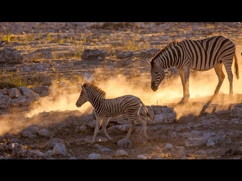 (Doku in HD) Mein Ausland - Luxus auf Schienen - Mit dem Zug durch den Süden Afrikas