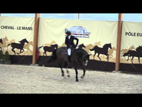 Shiva d'Amaury et Mathieu Billot - Vainqueurs GP Grand National du Mans