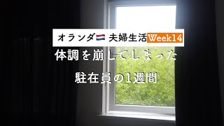 【つらい・・】体調を崩してしまったオランダ駐在員の生活