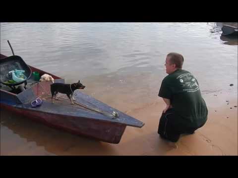 Ole vs Chihuaua @ Vitoria do Xingu