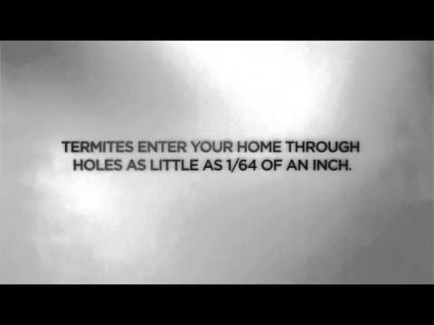 CGI 3D Animated Spot HD   Termites   by   Dvein   Blacklist
