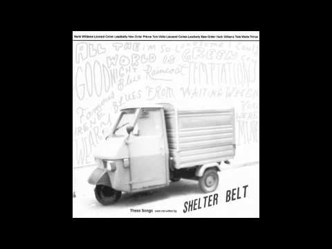 Shelter Belt - When You Were Mine