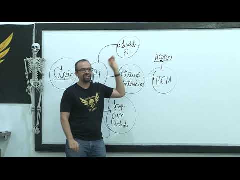 10-Procedimento Ordinário e Capacidade Processual
