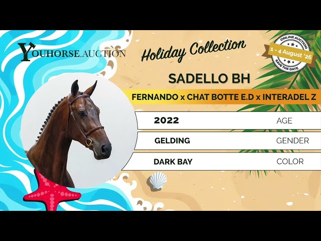 Sadello homevideo