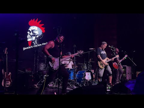 Thumbnail for Jimmie's Chicken Shack · 2024-09-19 · The Regent Theater · Los Angeles · full live show by Jimmie's Chicken Shack