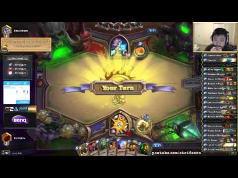 Midrange Paladin 〉 all Warlocks   Hearthstone Midrange Paladin #2