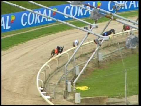 2017 CORAL SUSSEX CUP - HEAT 1 - T6 DONATION