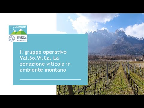 , title : 'Il gruppo operativo Val.So.Vi.Ca. La zonazione viticola in ambiente montano'