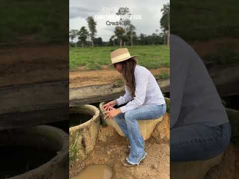 Sítio á Venda na Cidade de Vale do Anari RO 47 alqueire Paulista, R$60mil (69)99317-5099