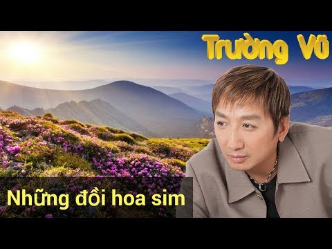 Trường Vũ - Những Đồi Hoa Sim - Nhạc Vàng Trường Vũ Chọn Lọc Của Hải Ngoại Bolero