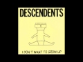 Descendents - Good Clean Fun