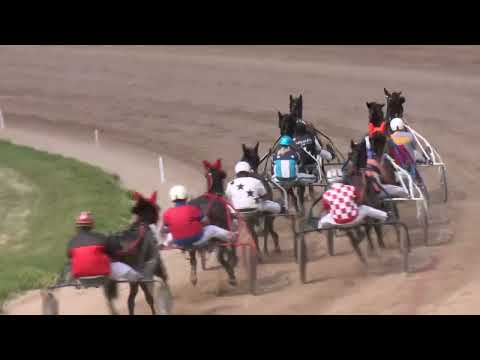 2022.06.11. 05. futam - PLATINA LADY HENDIKEP