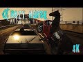 骑警马匹 Police horse 1