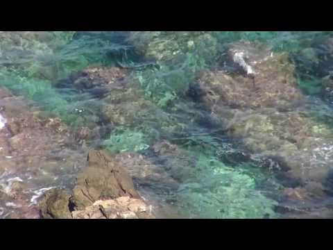 Tak - Jan Kondrak (śpiew, gitara akustyczna)