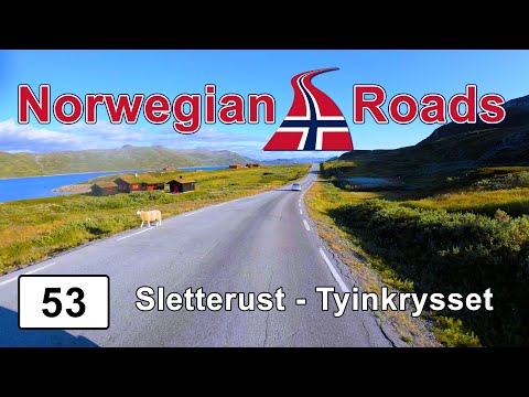 Driving Fv53 Sletterust - Tyinkrysset | Norwegian Roads 4K UHD