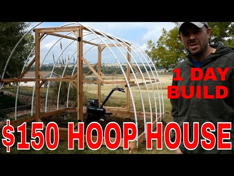 Build a 🌻Winter Greenhouse🌻 in 1 day for $150!! #diyhoophouse