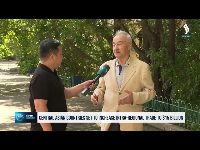 Борбор Азиянын потенциалы