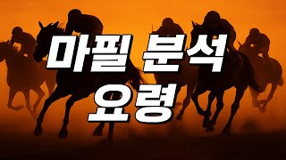 마필 분석시 참고하세요 #경마정보