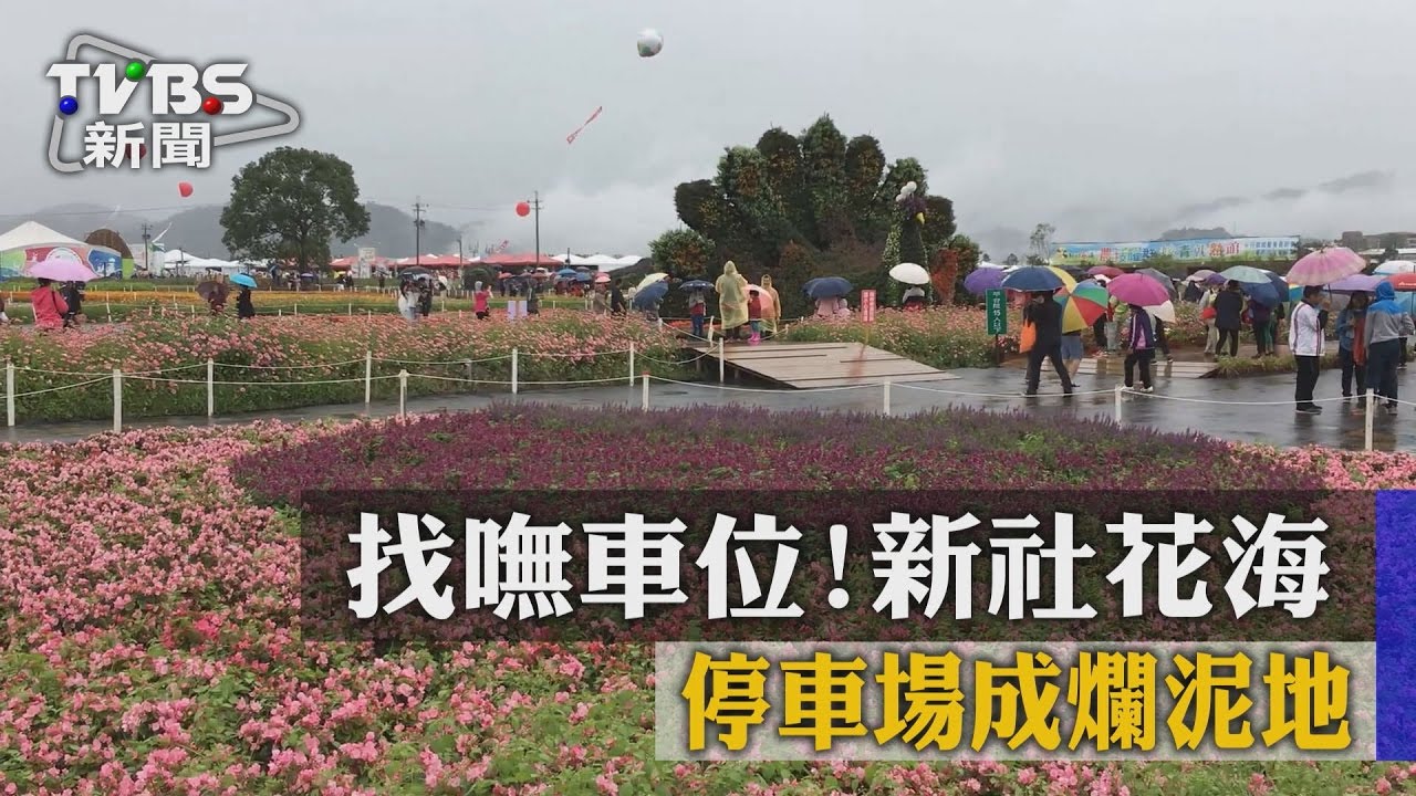 找嘸車位！　新社花海停車場成爛泥地