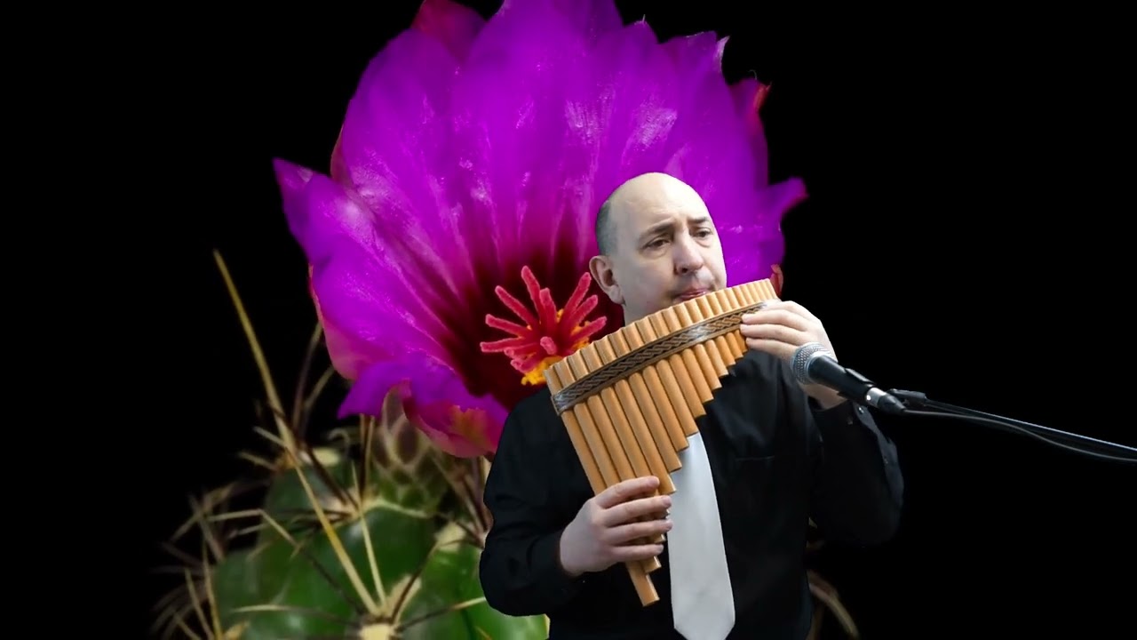 Promotional video thumbnail 3 for Pan Flute, Saxophone,Trombone,Piano