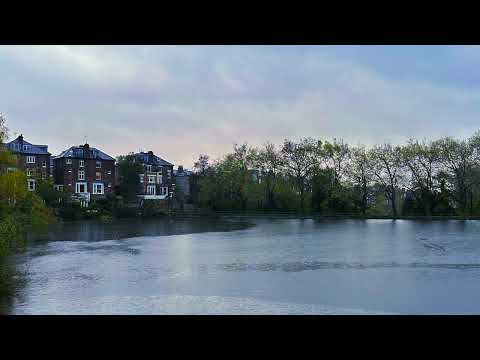 Rainy summer night, playlist #LuliLee