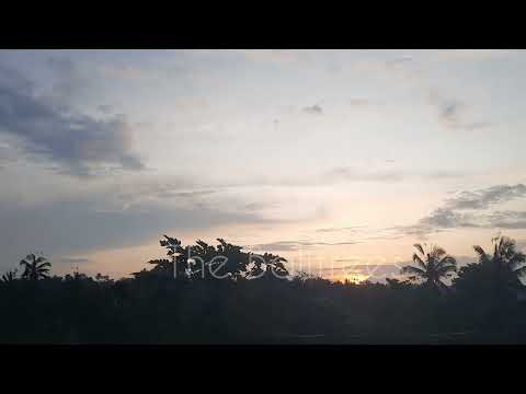 Sunrise Spot - The Balitrees