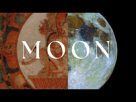 What We Lost When We Lit Up the Night