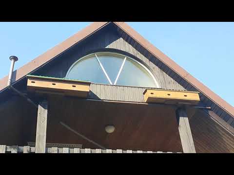 Budki dla Jerzyków w ogrodzie.