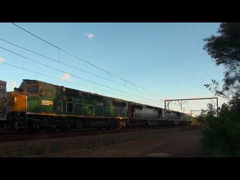 RL306/C504/C507/C509