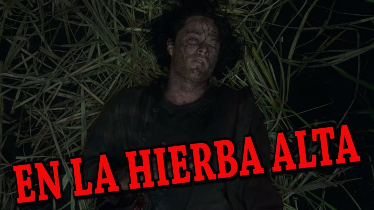 Watch En La Hierba Alta Critica & Explicacion (Con y Sin SPOILERS) Now En La Hierba Alta Critica & Explicacion (Con y Sin SPOILERS)