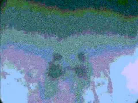 faktor tape and video