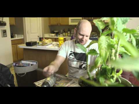 #видео | Интервью с людьми, которые отважились отправиться на Марс в один конец. #видео | Интервью с людьми, которые отважились отправиться на Марс в один конец. Фото.