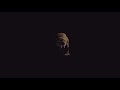 Sierra Entertainment Saber Interactive Nvidia 2007