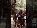Patola Papua