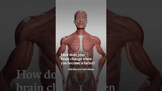 Thumbnail for How does your brain change when you become a father? | The Economist