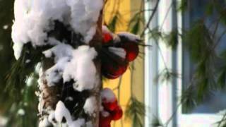 Leonard--Merle Haggard